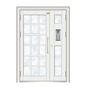 Building craft door