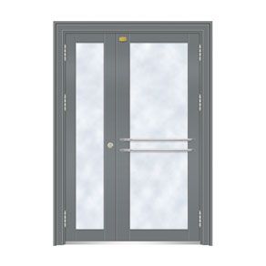 Building craft door